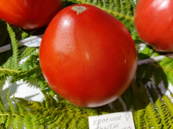 Красное сердце Танти Иванка